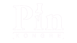 Pin Congress Organization Logo